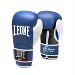 FLASH BOXING GLOVES